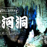 高知の観光におすすめの龍河洞は、息を呑むほど美しい┃料金やアクセス