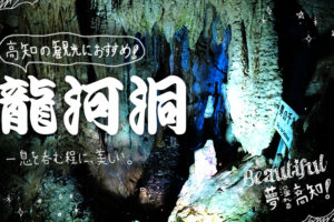 高知の観光におすすめの龍河洞は、息を呑むほど美しい┃料金やアクセス