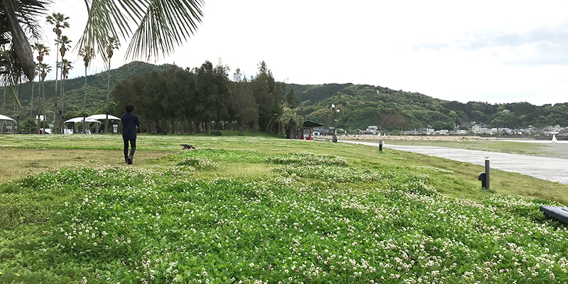 高知県のヤ・シイパーク